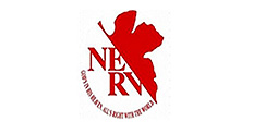 nerv